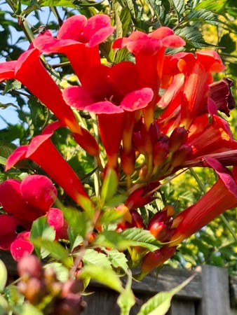 Medium property photo - Graaf van Bentheimlaan 14, 3927 DE Renswoude